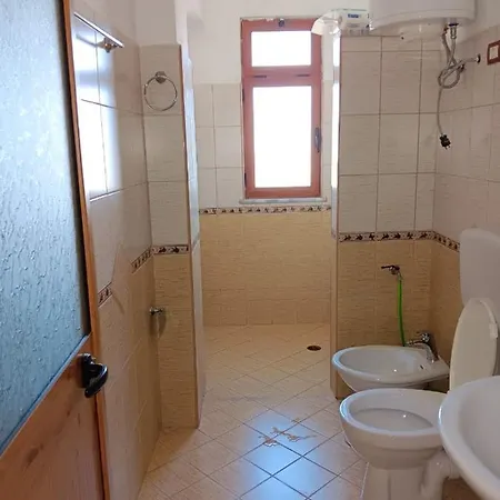 Alvi * Shkoder